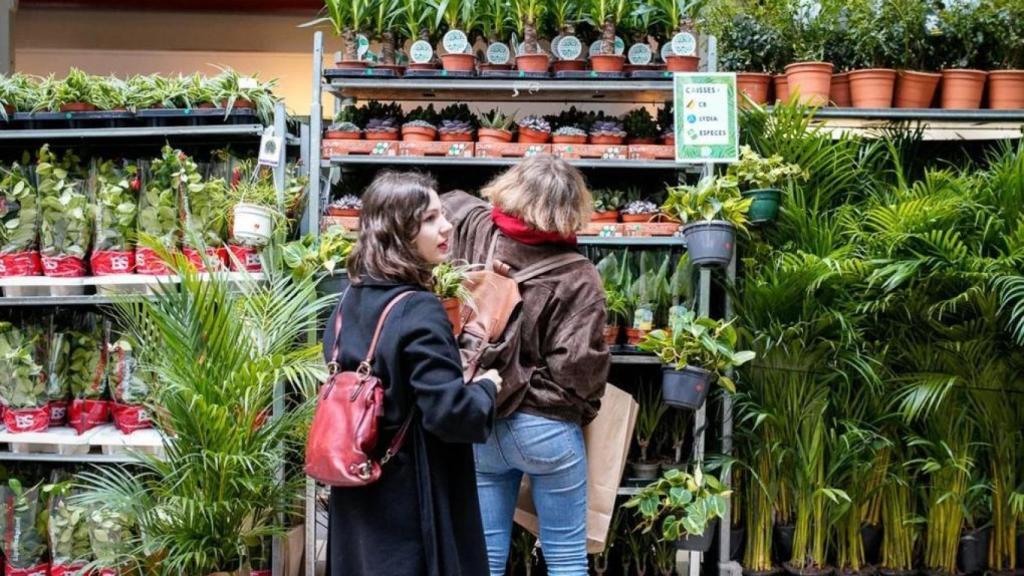 Unas chicas comprando en un vivero.