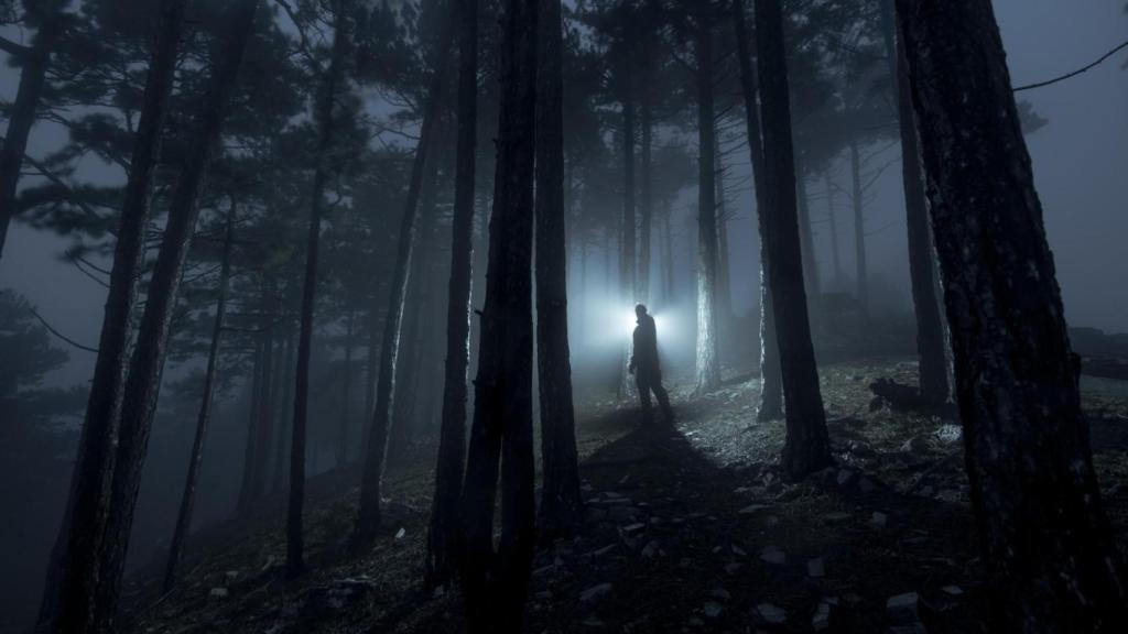 Una persona en el bosque por la noche