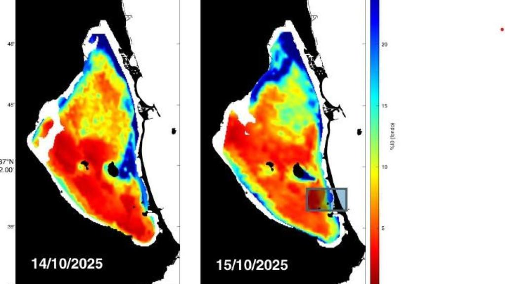 Imagen de los mapas satelitales.