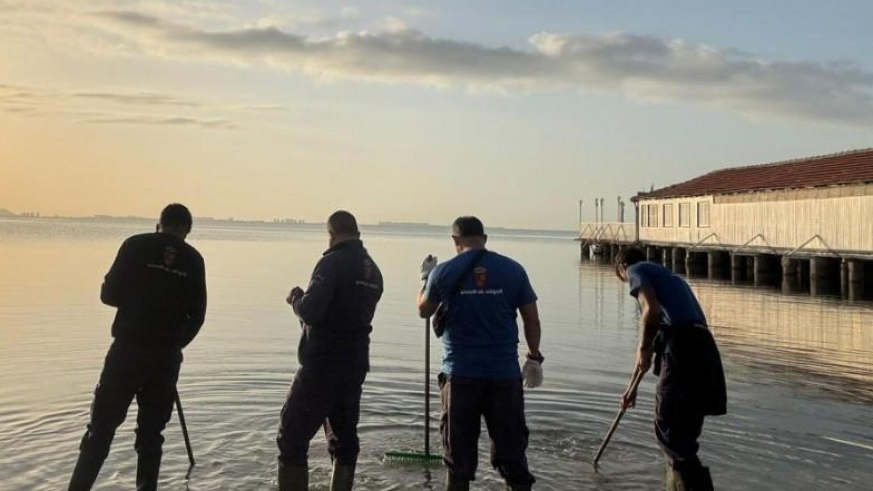 Un grupo de operarios de la Consejería de Medio Ambiente limpiando las zonas afectadas del Mar Menor por la dana 'Alice'.