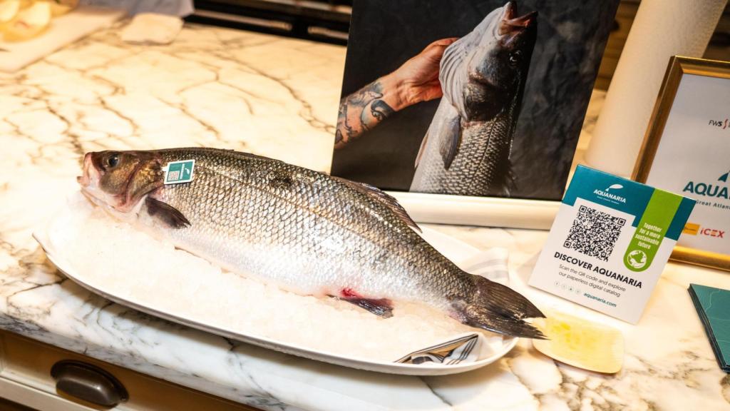 Lubina de Aquanaria.