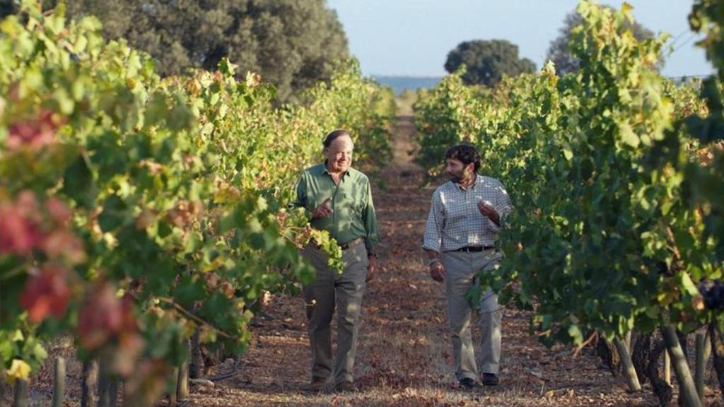 Carlos Falcó en sus viñas.