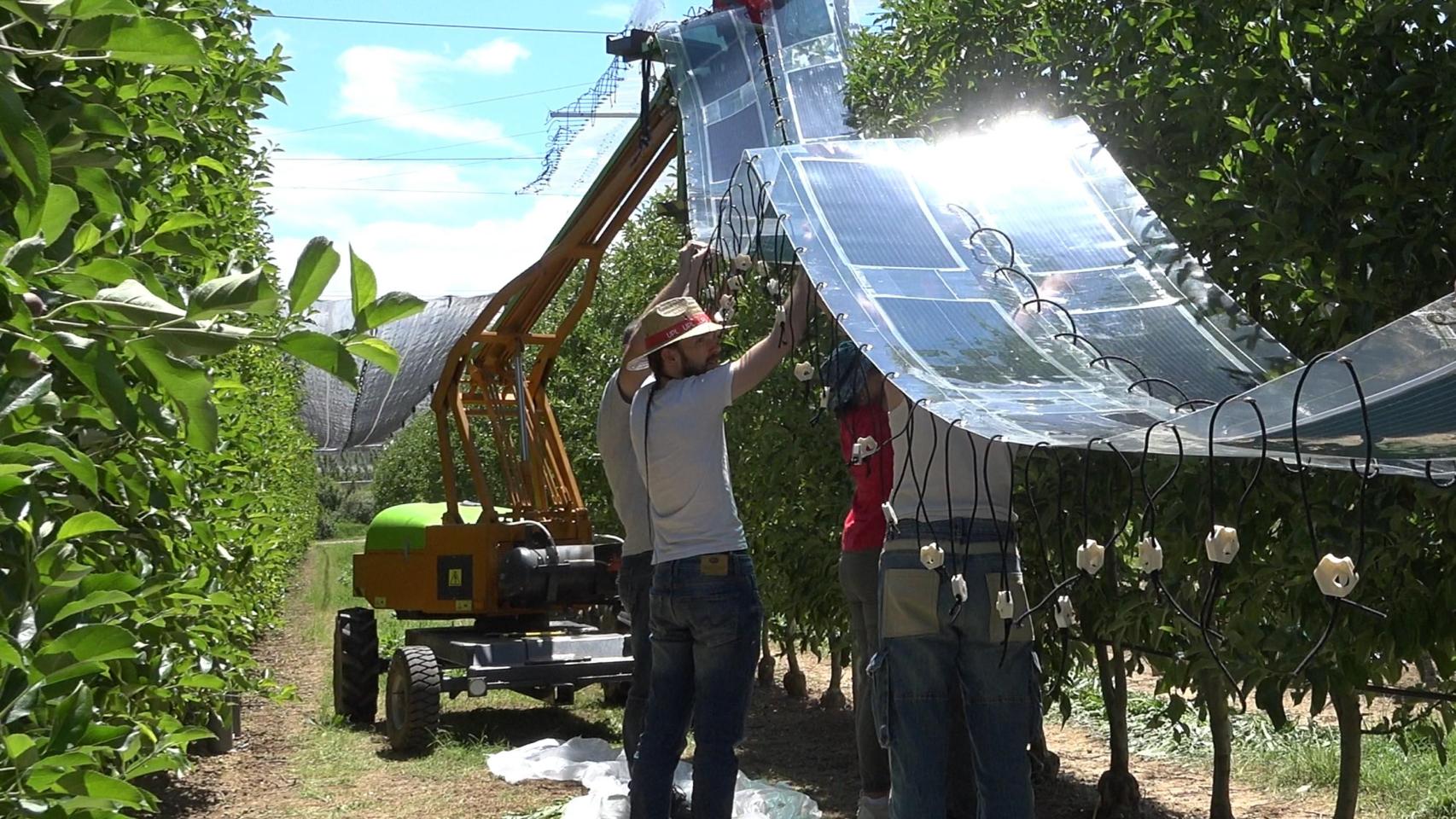 Los paneles fotovoltaicos para invernaderos.