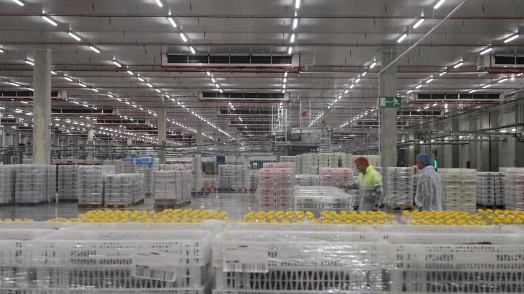 Nave logística de BonÀrea en Épila