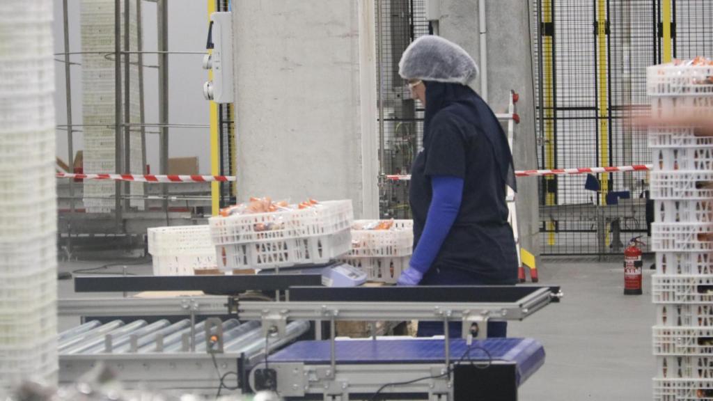 Nave de frutos secos de BonÀrea en Épila