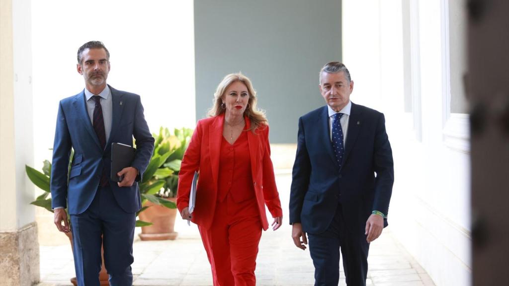 Los consejeros de Medio Ambiente, Economía y Sanidad, este miércoles en Sevilla.