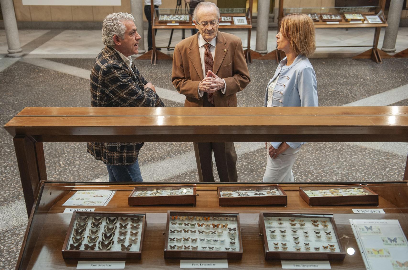 Algunas de las mariposas expuestas