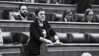 Mertxe Aizpurua, este miércoles en el Congreso.