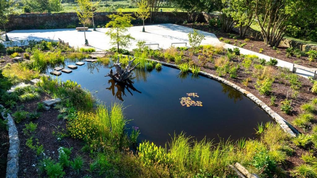 Imagen del parque Rosalía Mera.