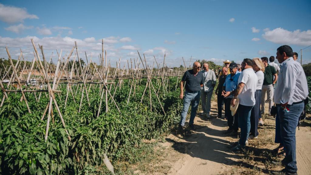 Una visita a una de las plantaciones que trabajan para Eladio.