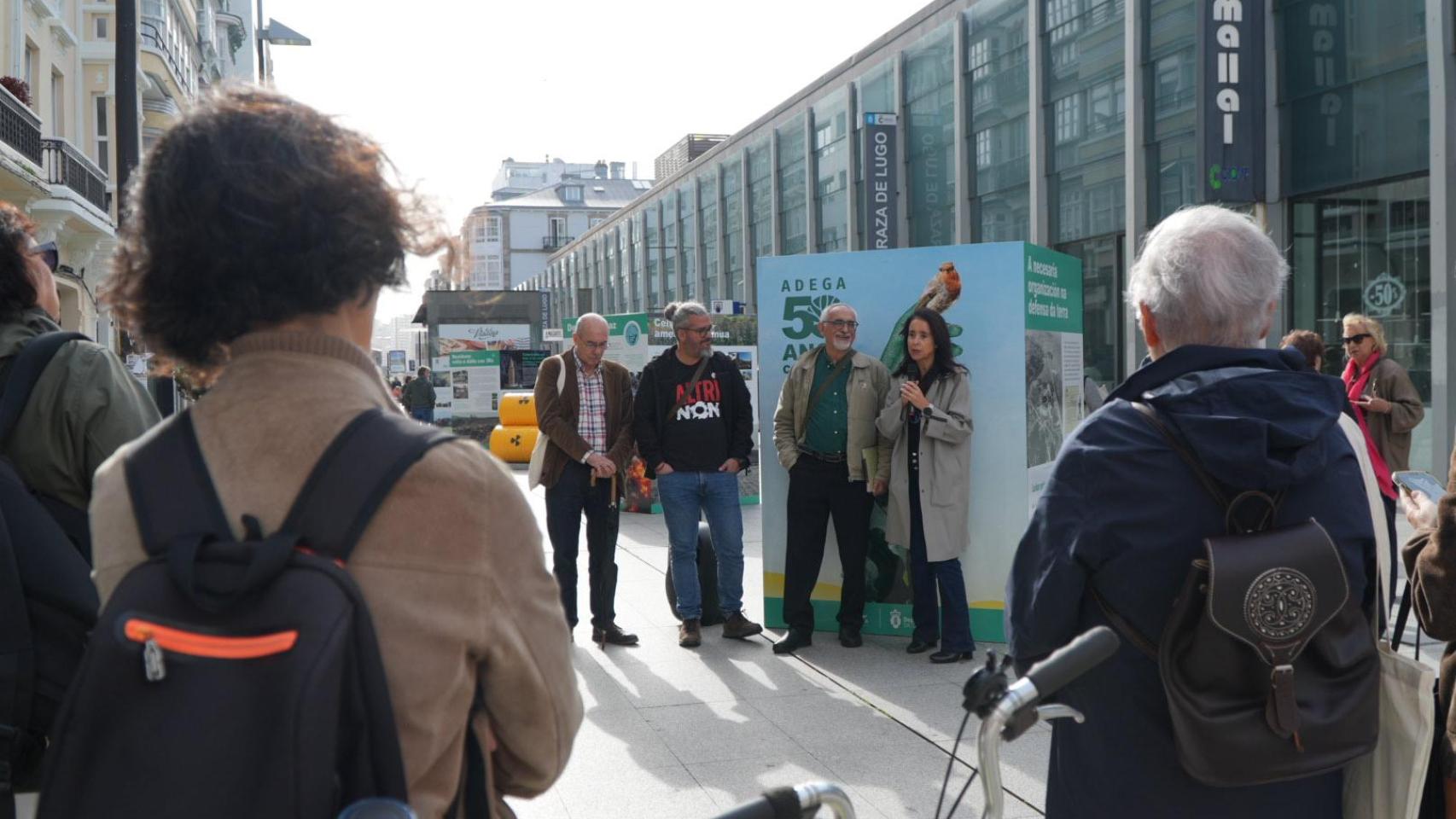 Imagen de la presentación.