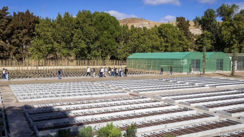 'Málaga Viva Lab’