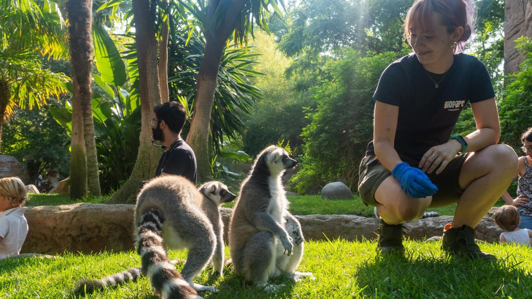 Cuidadores de Bioparc Fuengirola.
