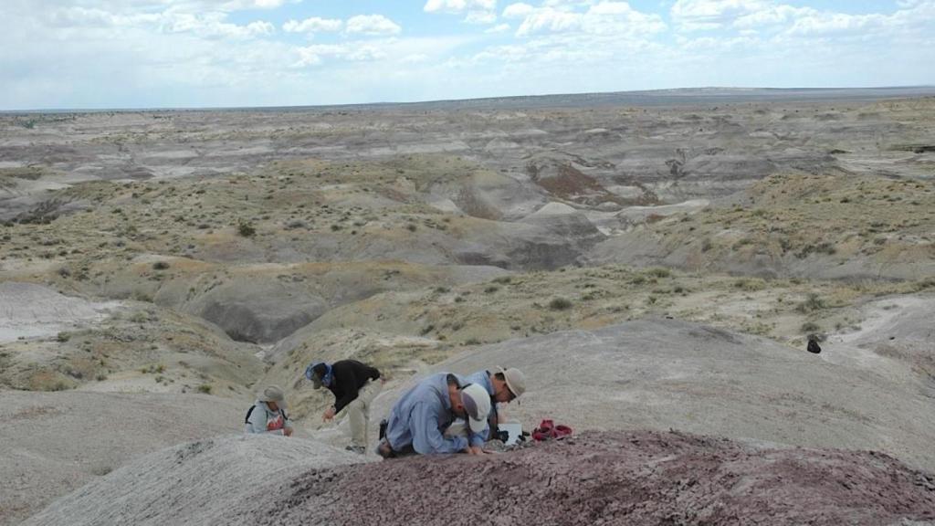 El equipo de científicos pasó más de 10 años buscando fósiles en la Cuenca de San Juan, al noroeste de Nuevo México.