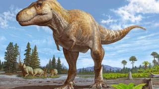 Los dinosaurios no estaban en declive: unos fósiles de Nuevo México confirman que fueron aniquilados por el meteorito
