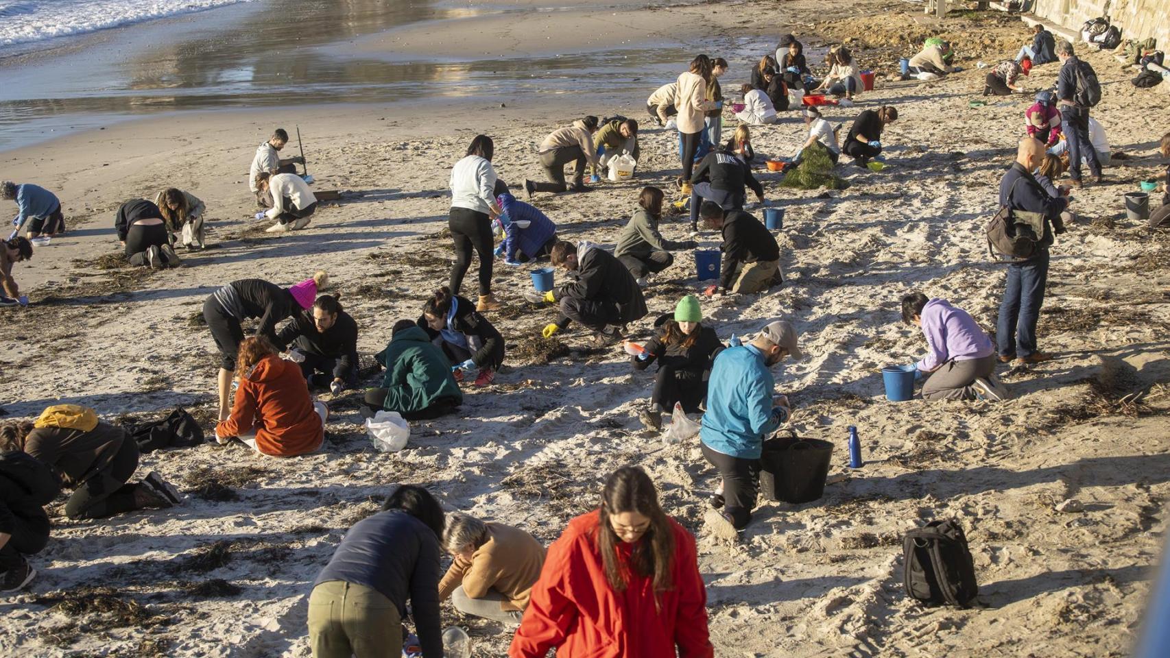 Voluntarios recogiendo pélets en Panxón.