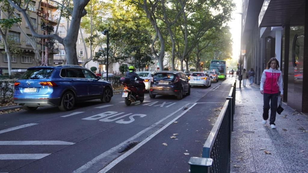 Un carril de bus y taxi en Zaragoza.