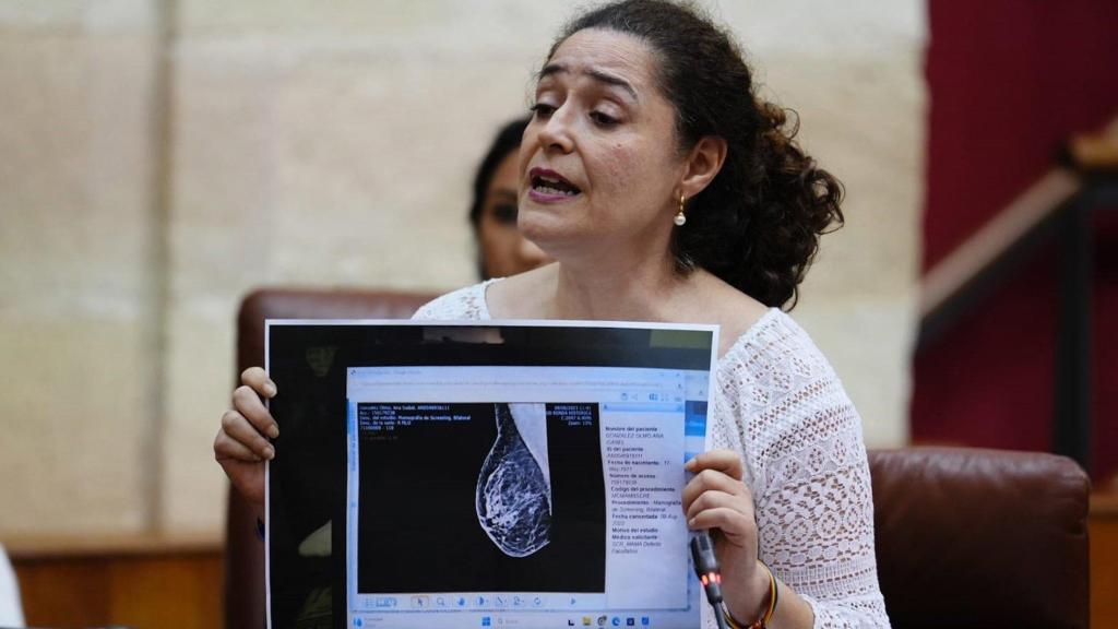 La portavoz de Por Andalucía, Inmaculada Nieto, durante la sesión de control.