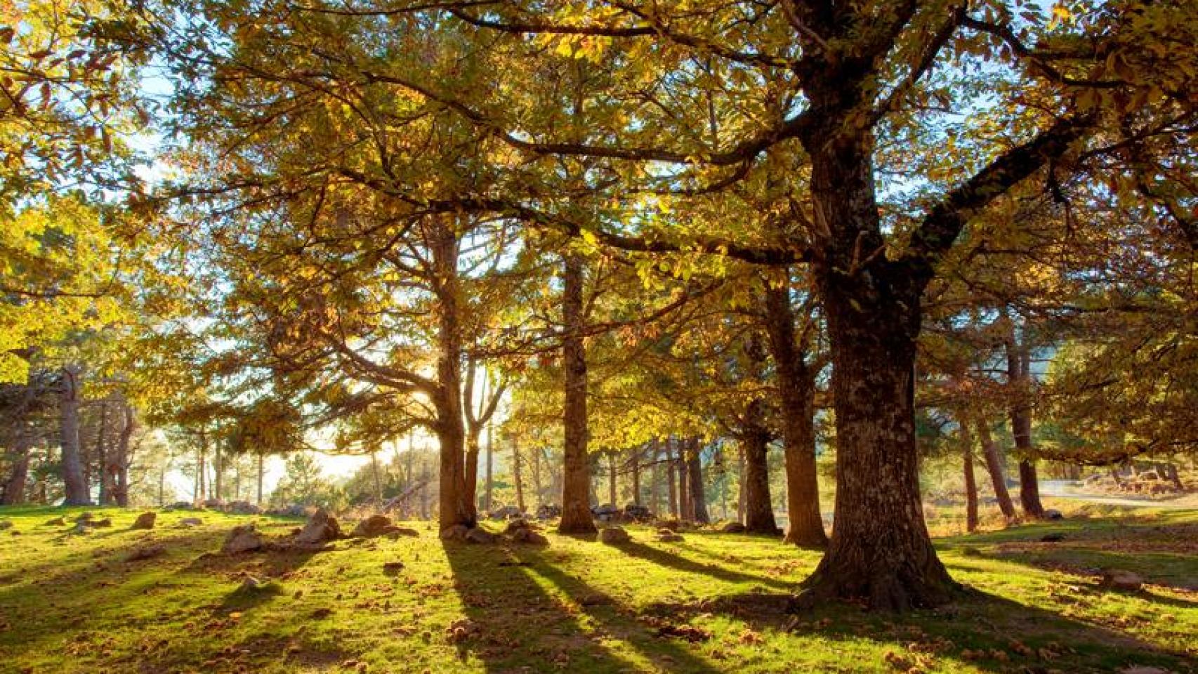 Una preciosa estampa de una de las rutas de la Sierra de Gredos