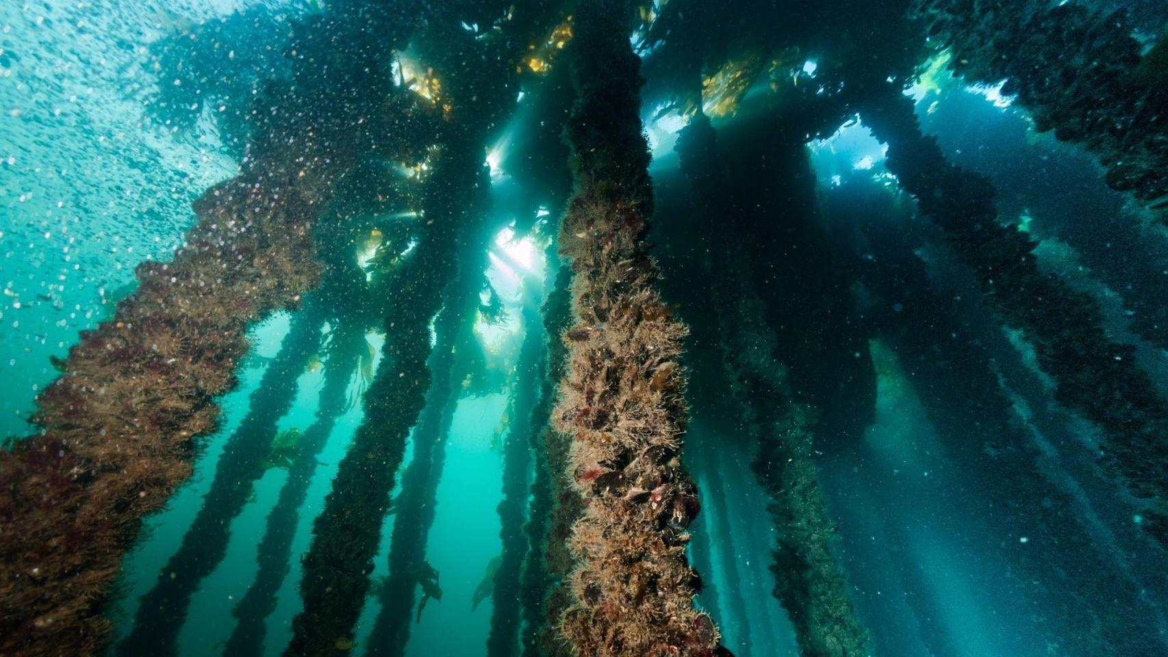 Cuerda de desdoble de mejillones de Lorbé.