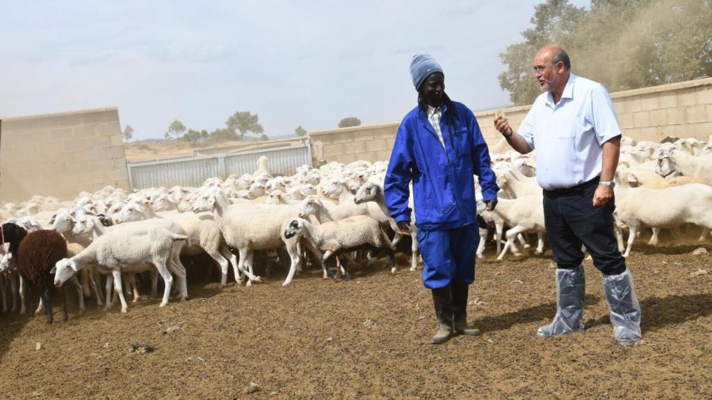 José Luis Martínez Guijarro, vicepresidente Primero de la Junta de Comunidades de Castilla-La Mancha en la Escuela de Pastores.