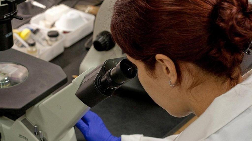 Laboratorio sanitario. Imagen de archivo