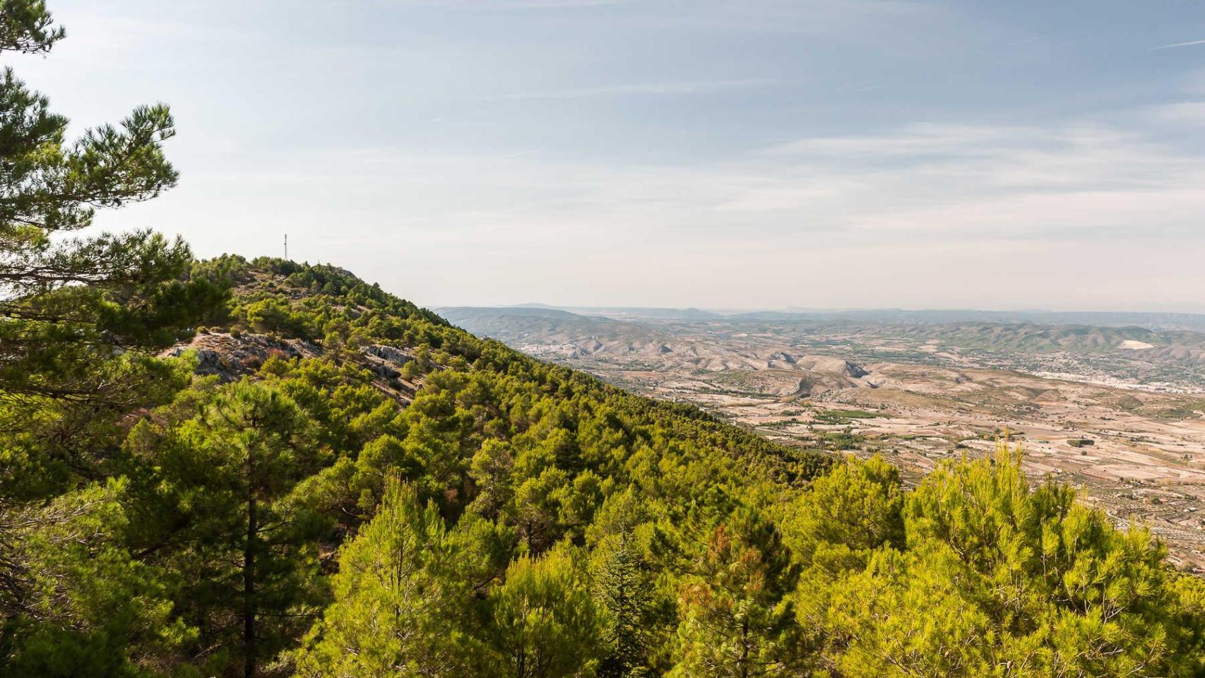 La Sierra de Mariola.