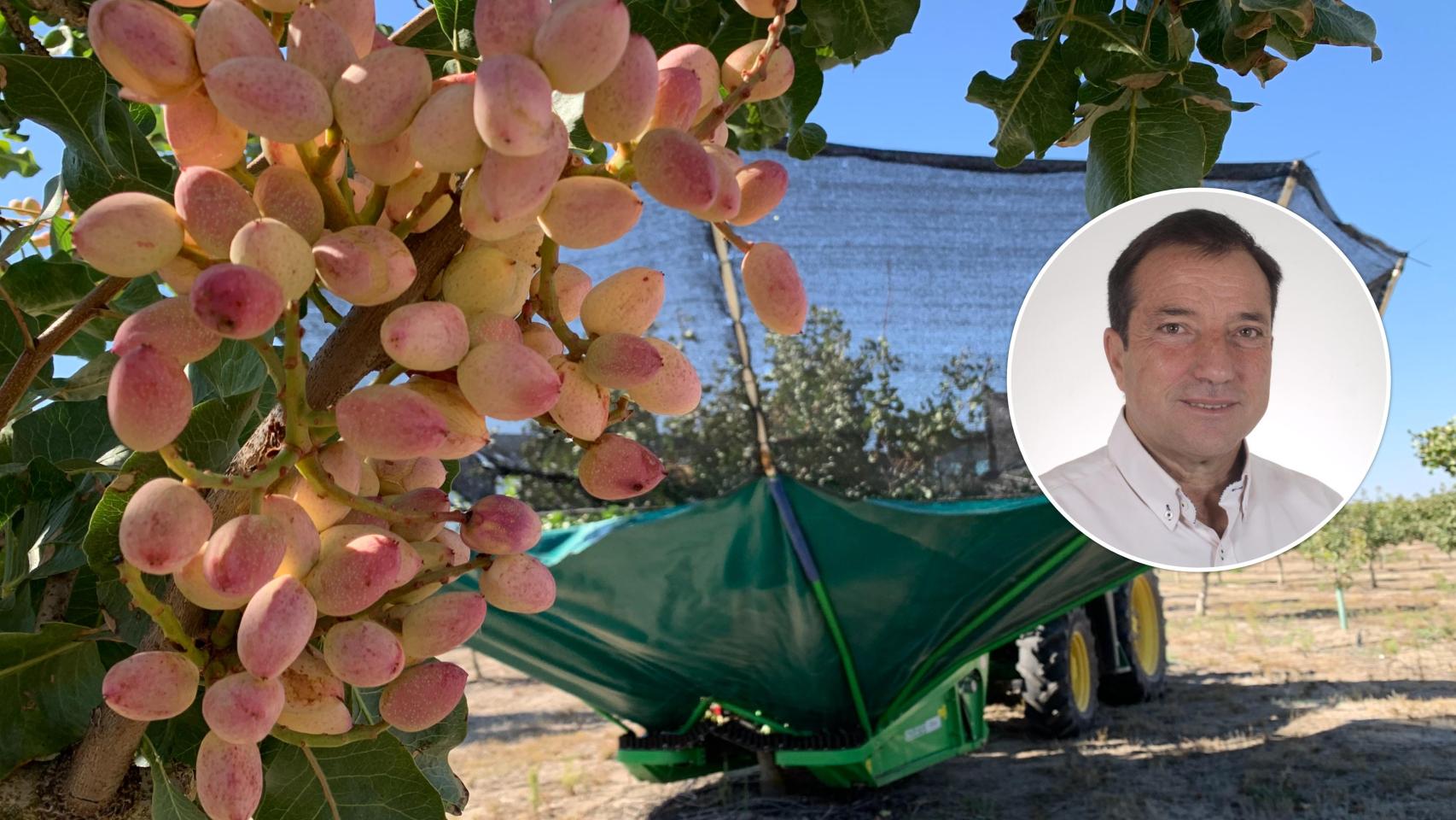 Alfredo Pérez, director de Pistacyl.