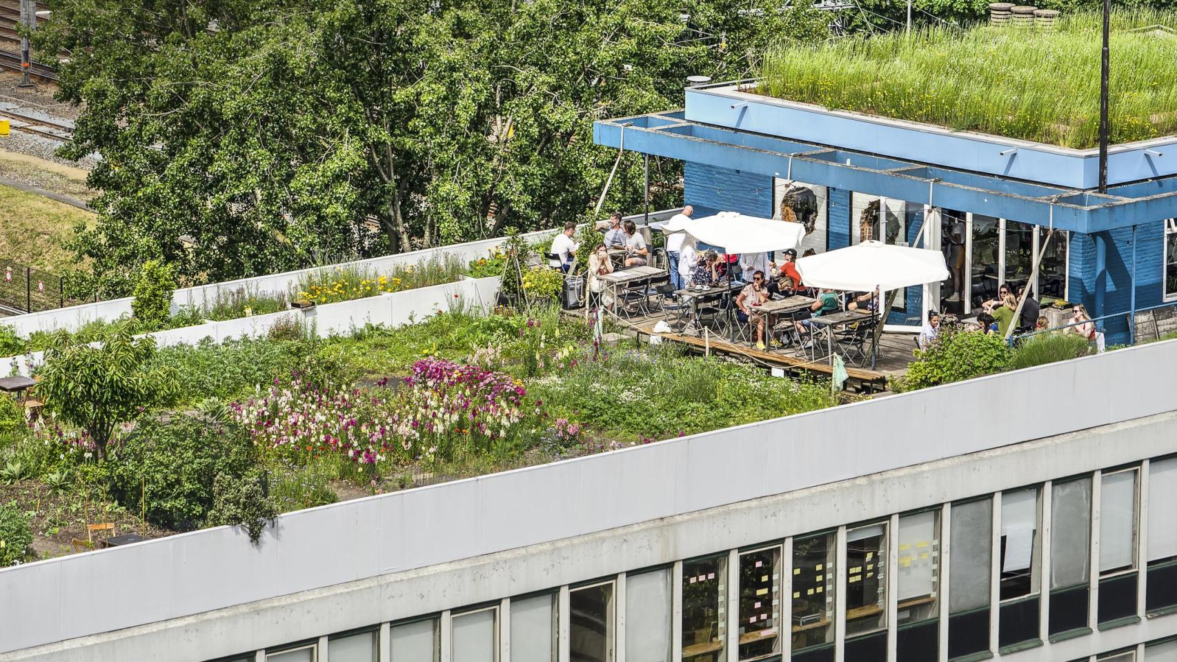 Restaurante con huerto.