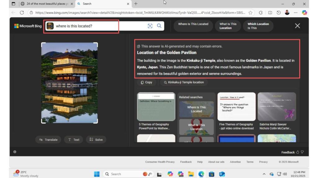 Busqueda visual en Windows 11