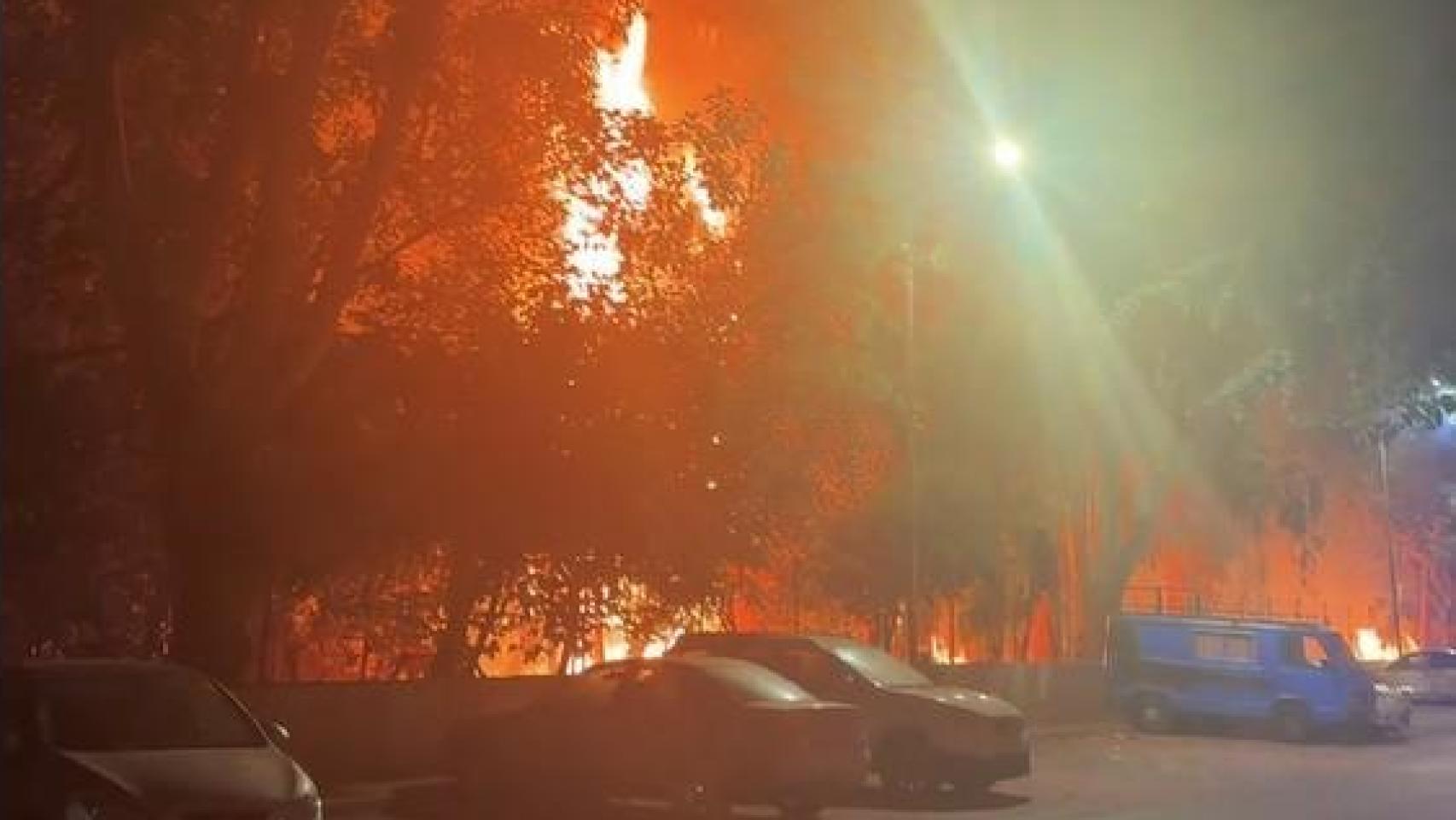 El incendio en la laguna de Teatinos.