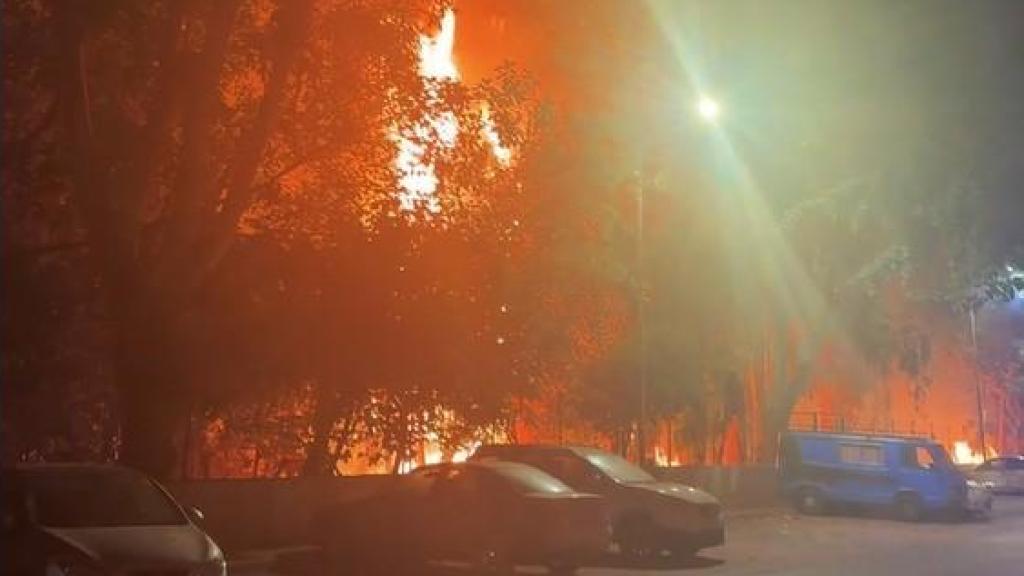 El incendio en la laguna de Teatinos.