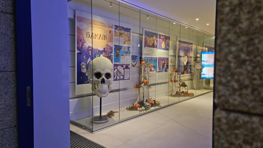 Escaparate de la Clínica Pardiñas por Samaín en A Coruña.