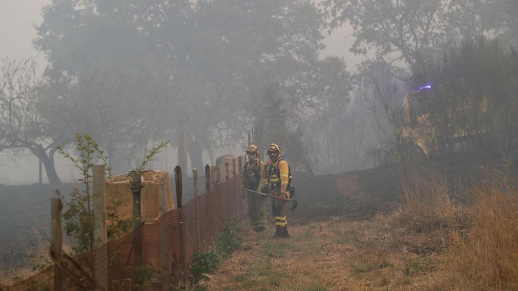 Varios bomberos forestales tratan de extinguir el fuego en Lornís, a 18 de septiembre de 2025, en Pantón, Lugo, Galicia (España)