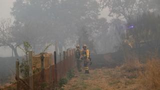Varios bomberos forestales tratan de extinguir el fuego en Lornís, a 18 de septiembre de 2025, en Pantón, Lugo, Galicia (España)