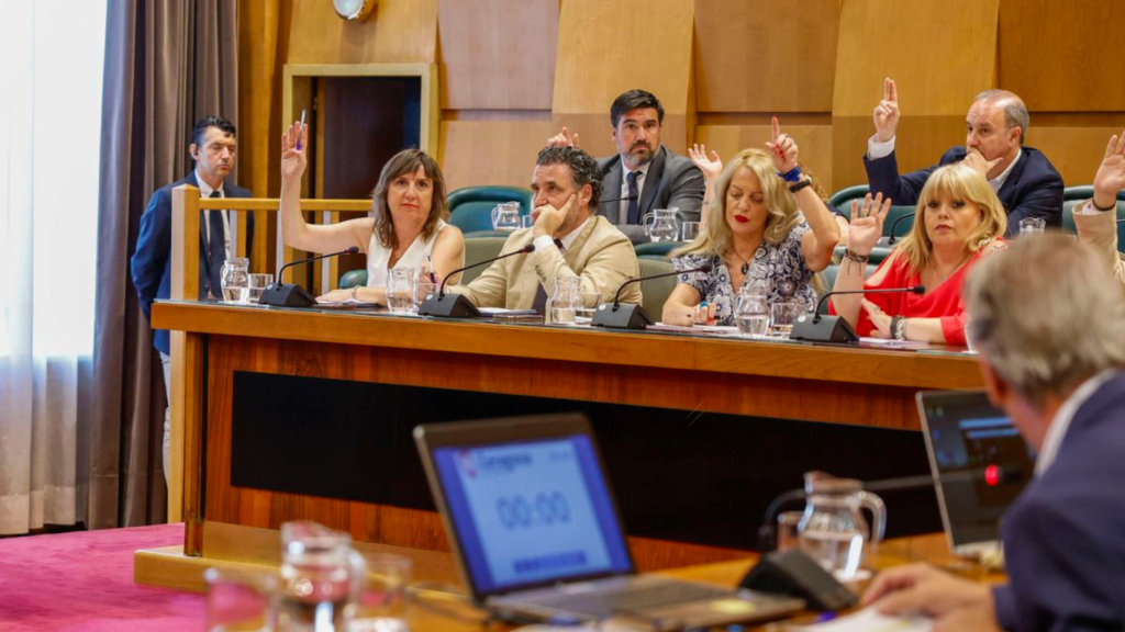 Los concejales del PSOE de Zaragoza, en un pleno del Ayuntamiento.