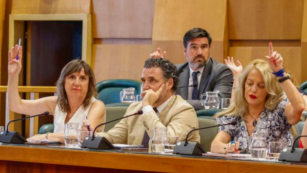 Los concejales del PSOE de Zaragoza, en un pleno del Ayuntamiento.
