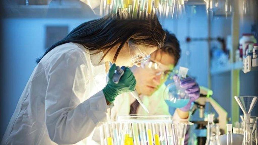 Patólogos analizando muestras de tumores.