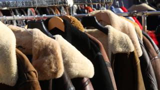 Un burro con ropa de abrigo