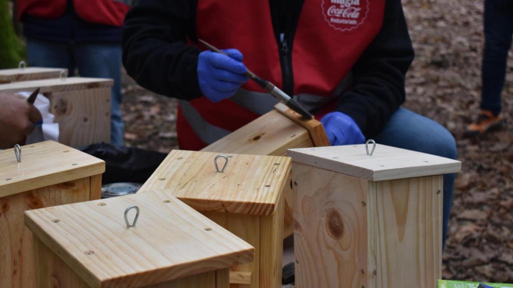 El voluntariado también se encargó de barnizar las cajas nido