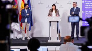 Consejo de Gobierno abierto a la Plataforma Regional de Representantes de Personas con Discapacidad Intelectual y del Desarrollo.