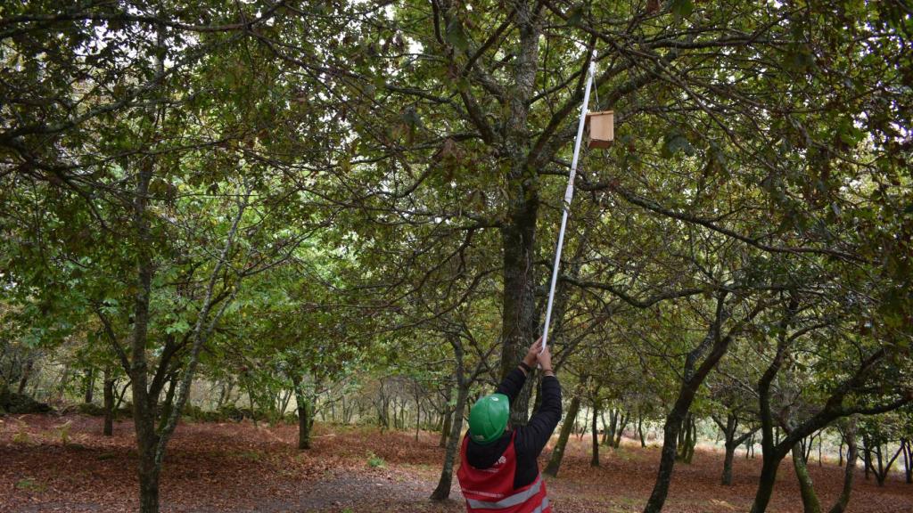 La jornada finalizó con la propia colocación de los refugios en los árboles