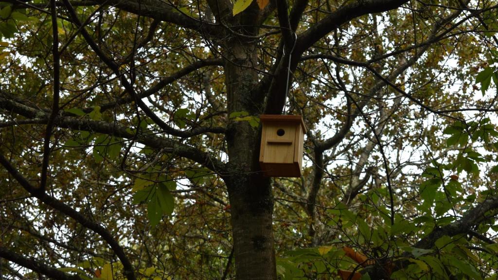 Se estima que puedan durar 20 años y ayudar a las aves del entorno