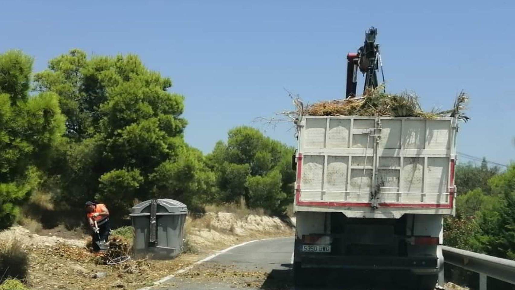 Una de las recogidas de podas que realiza la contrata de limpieza de Alicante.