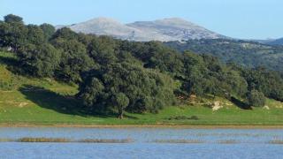 La Laguna de la Alberca de Ronda.