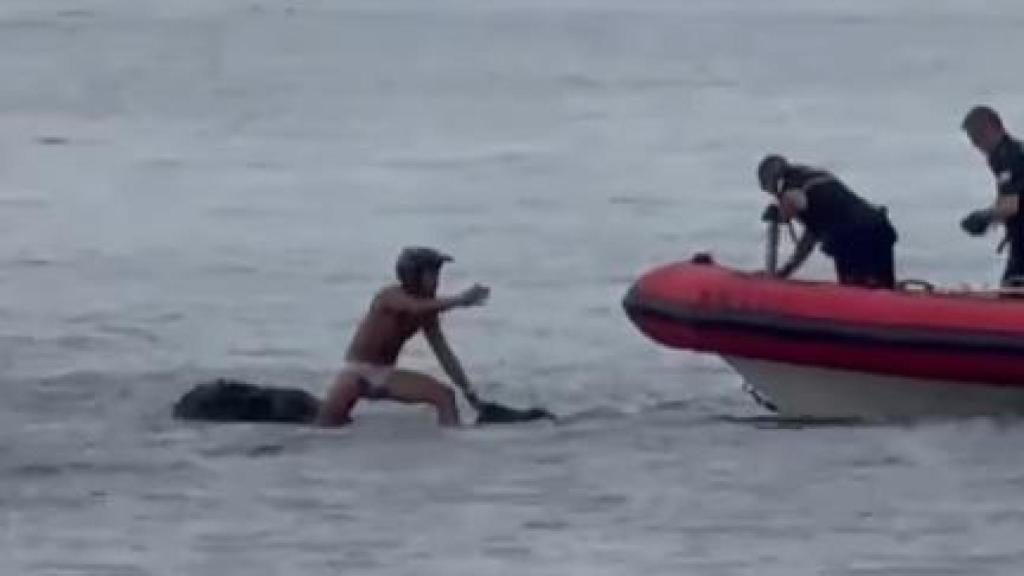 Una imagen del detenido.