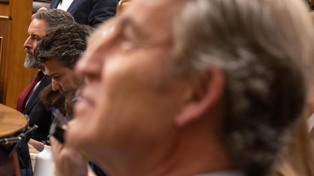 Santiago Abascal, en la misma sesión parlamentaria que Feijóo en el Congreso de los Diputados.