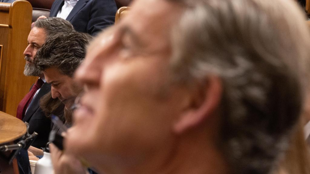 Santiago Abascal, en la misma sesión parlamentaria que Feijóo en el Congreso de los Diputados.