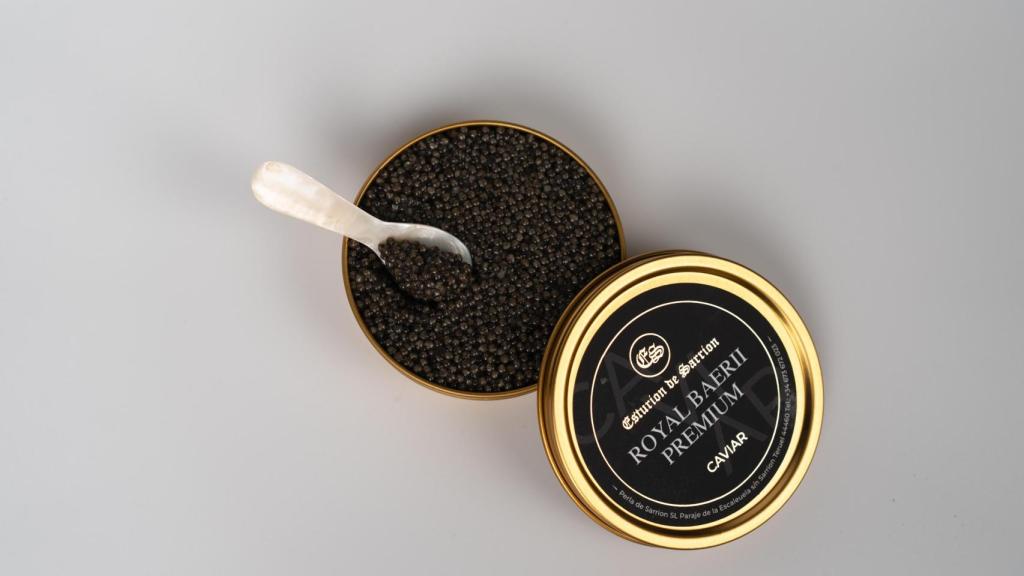 Caviar de Esturión de Sarrión.
