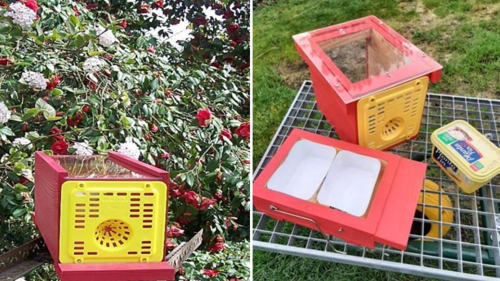 La trampa Robida para avispas asiáticas.